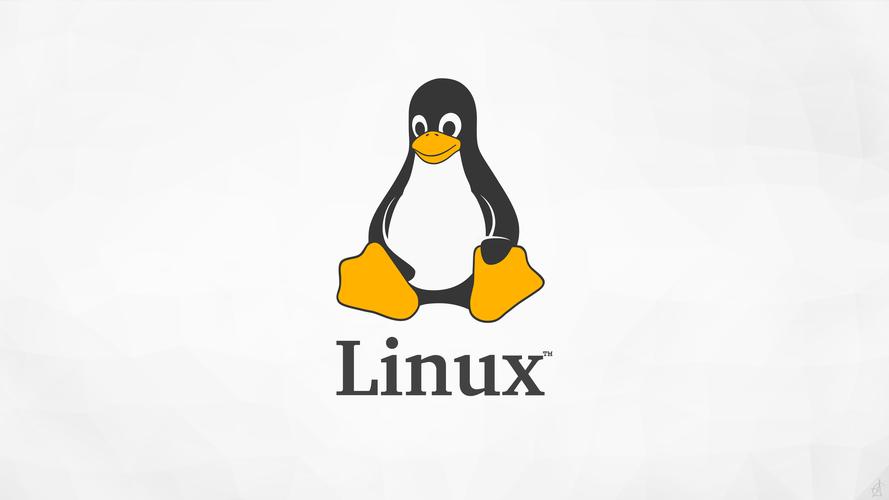 Linux操作系统实验